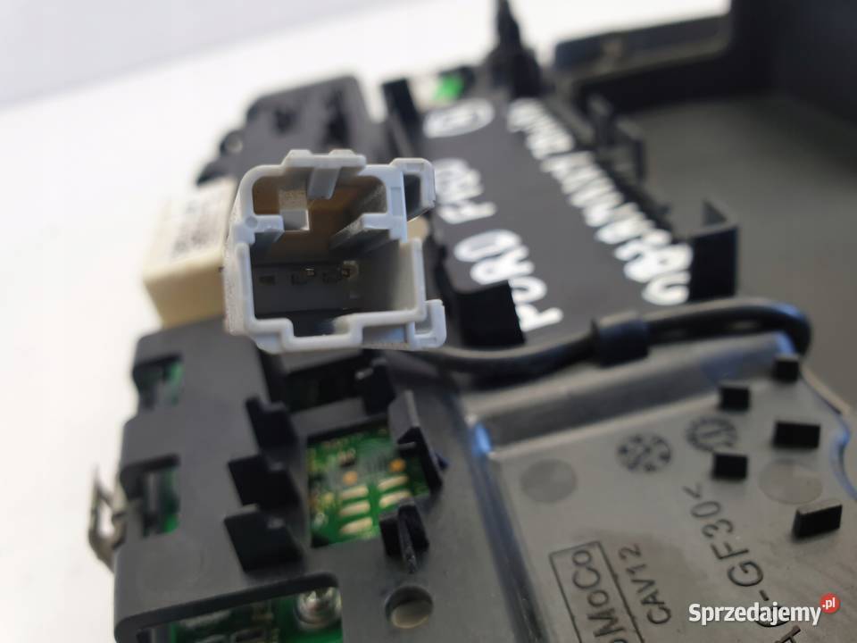 Ford F150 LAMPKA OŚWIETLENIA WNĘTRZA kabiny Rudka