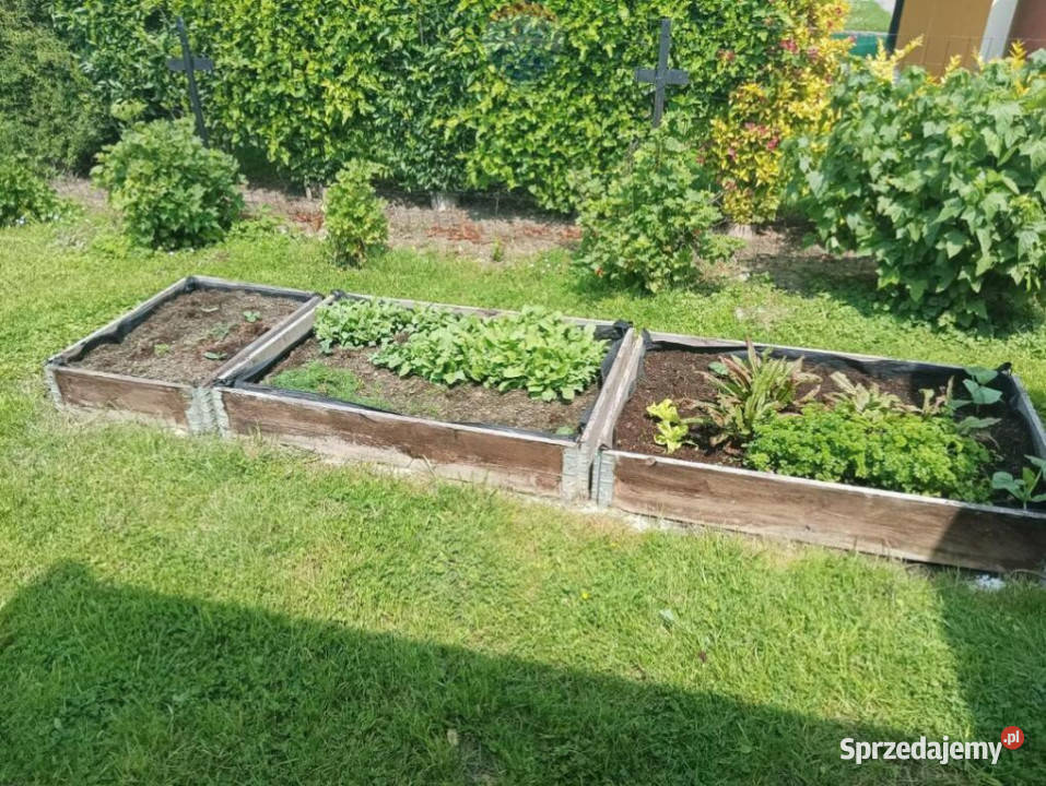 Klimatyczny domek letniskowy remoncie