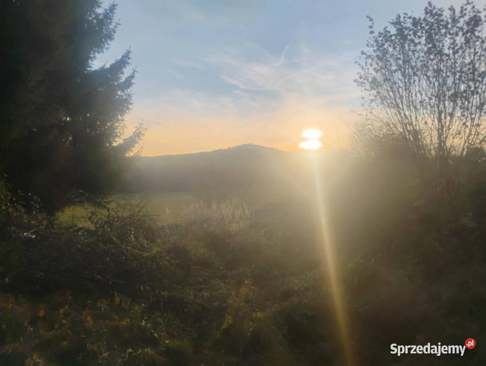 Sprzedam działkę z pięknym widokiem i świetnym Radochów sprzedam