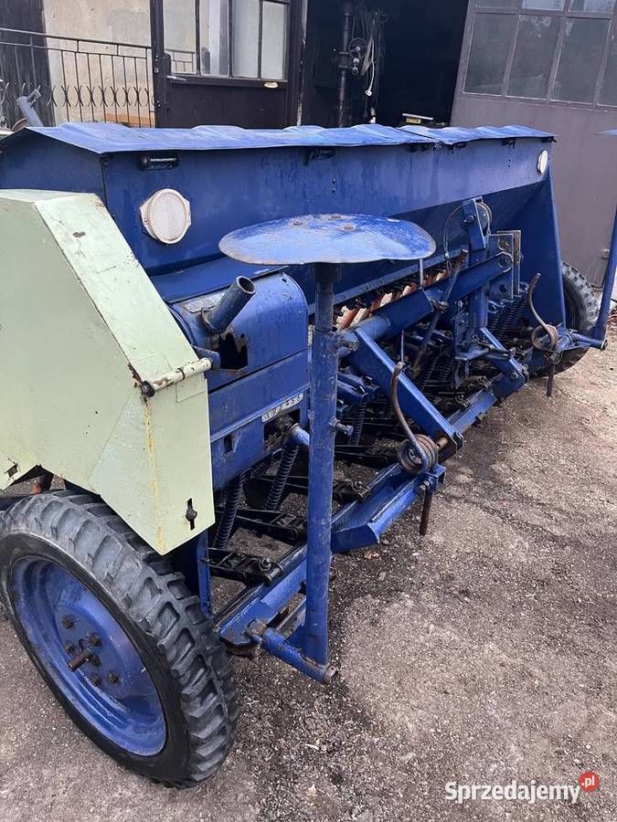 Siewnik poznaniak Jarosław