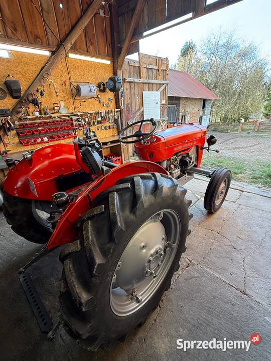 Ferguson 825 zarej mth 30 1960r Sieklówka
