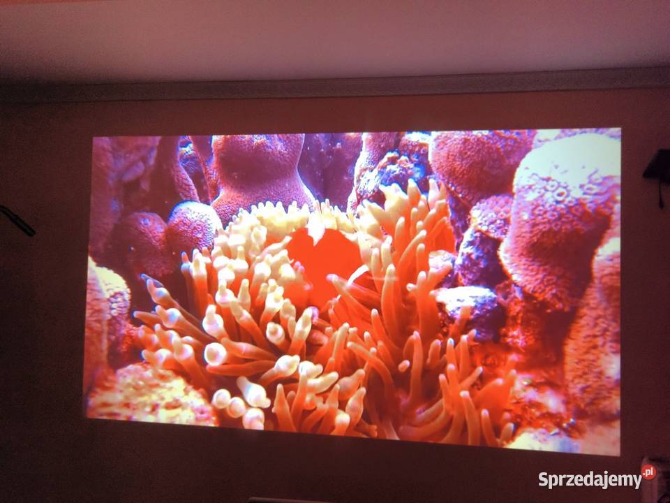 Projektor 4Kwifi Android sprzedam