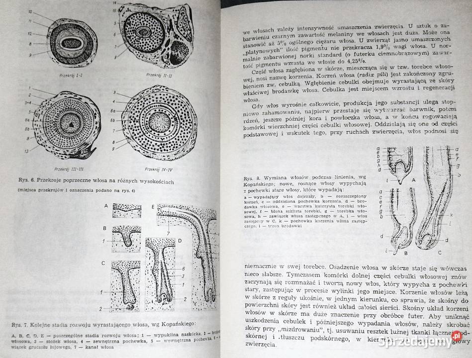 Hodowla zwierząt futerkowych Władysław Herman lubelskie