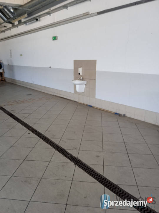 Do wynajęcia lokal 360m2 Radom Warszawska Wynajem