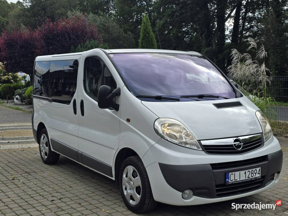 Opel Vivaro 20 dCi 8osobowy Bezwypadkowy ZADBANY 205000km kujawsko-pomorskie Skępe