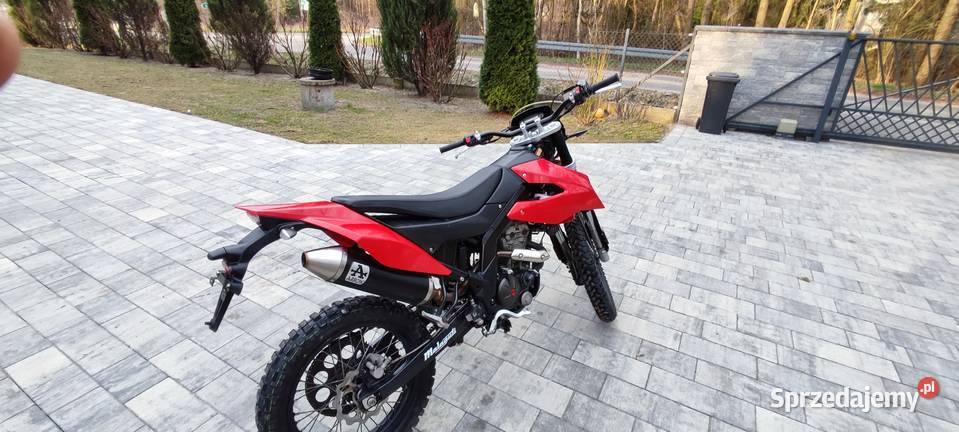 Sprzedam Malagutii xtm Dzierzązna