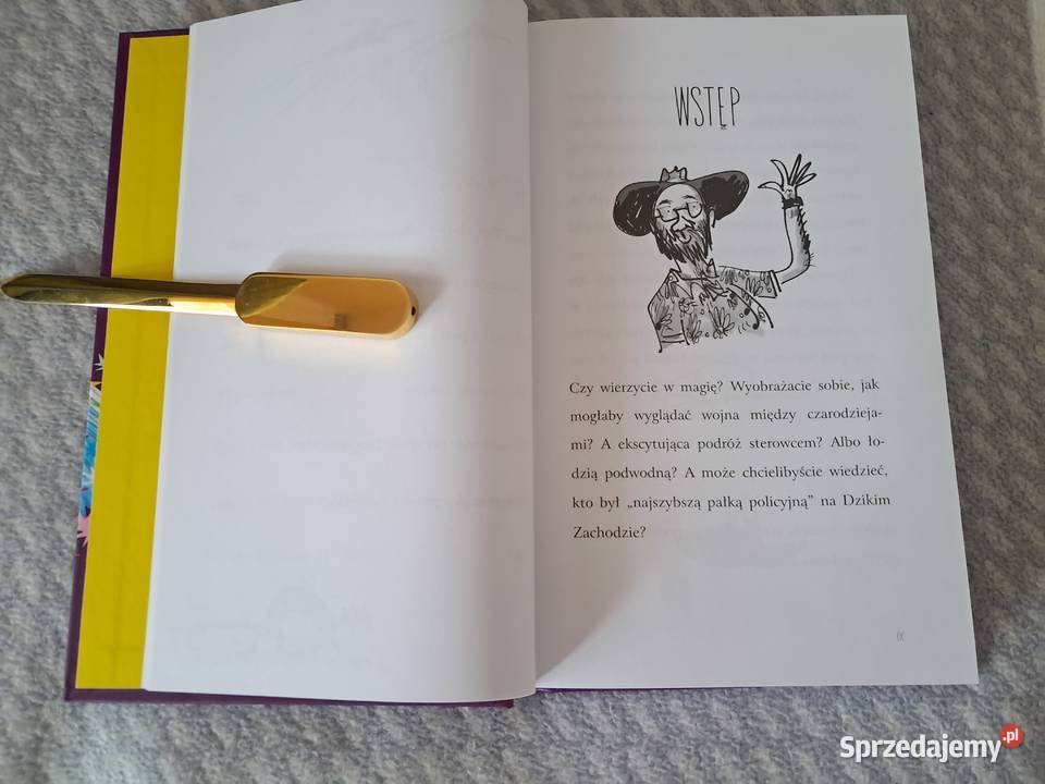 Książka Odkurzacz czarownicy T Pratchett do ISBN 9788380620216 Kraków