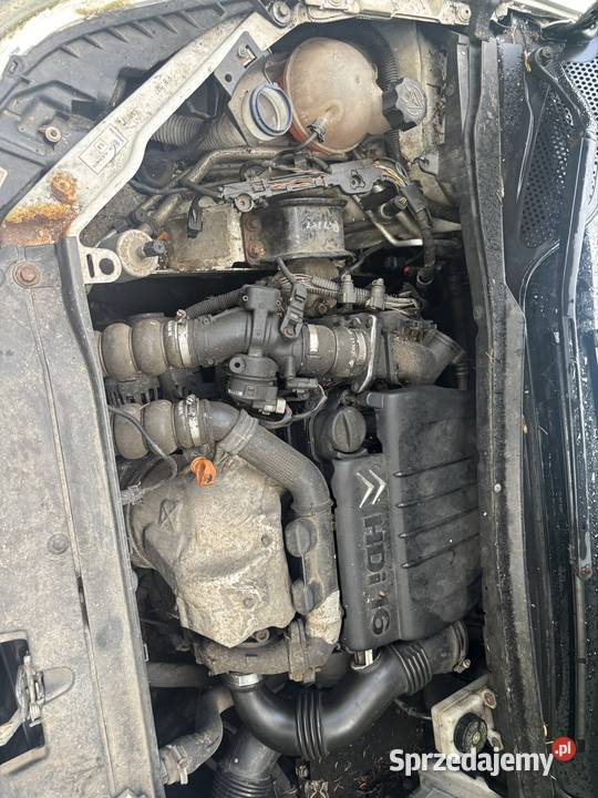 citroen C4 Sosnowiec