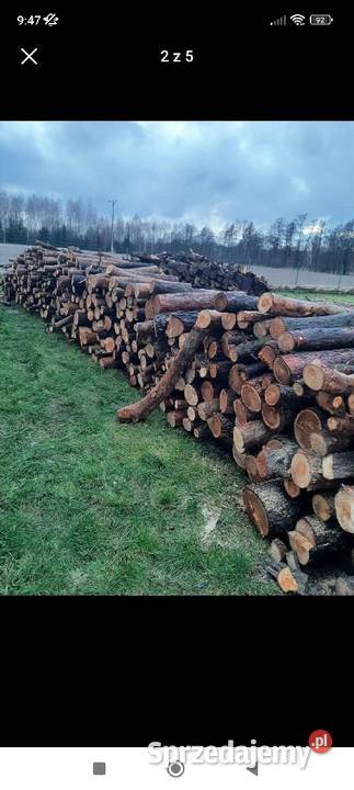 Drewno opałowe duża ilość