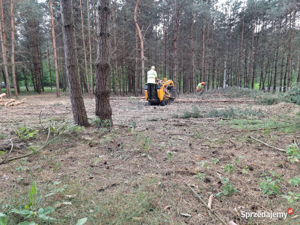 Mulczowanie Wycinka drzewCzyszczenie działek
