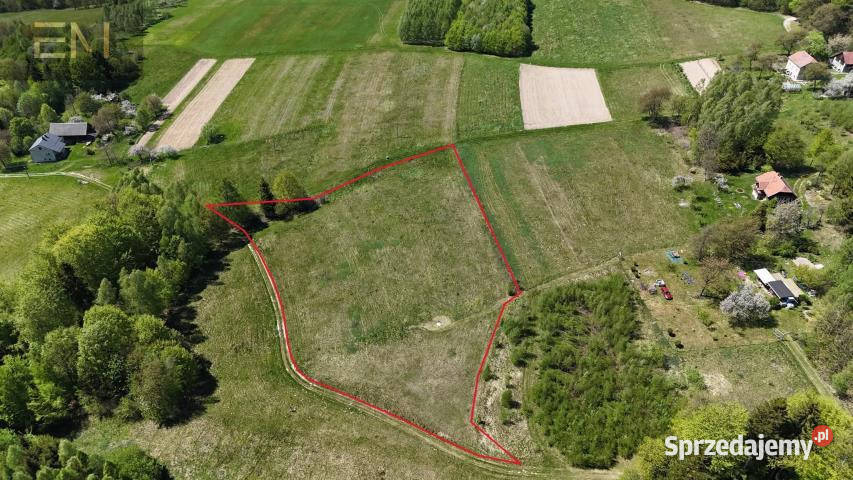 sprzedaży gruntu Lutcza 7000m2 7000m2