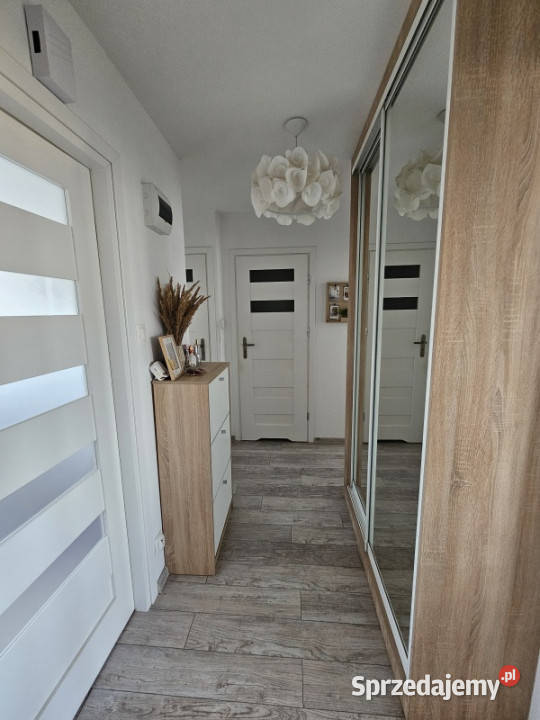 Wzgórze wolności 61m 4 pokojowe bezpośrednio internet kujawsko-pomorskie Bydgoszcz