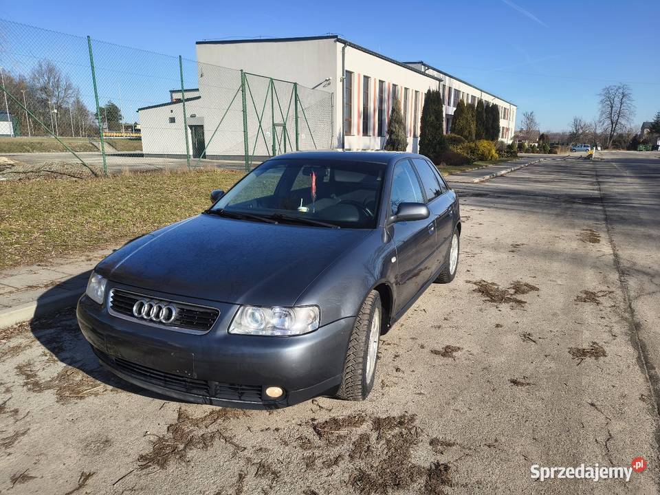 AUDI A3 nieuszkodzony Trzyciąż