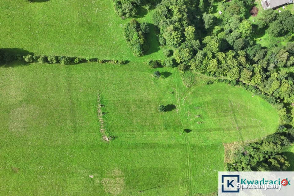 Grunt Hołuczków 11100m2 sprzedam