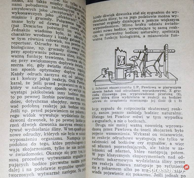 Główne idee współczesnej psychologii Tadeusz Chełm