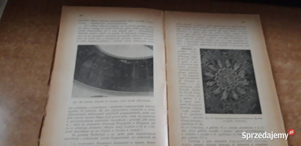 Historja sztuki starochrześcijańskiej Mole 1931 Iwno sprzedam