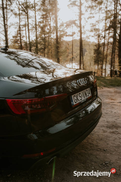 Audi a4 b9 quattro Premium Plus automatyczna Dziemiany sprzedam