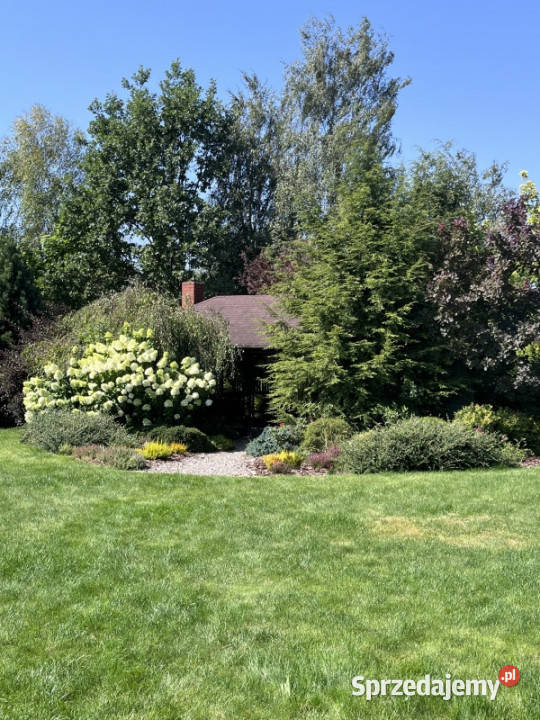 Sprzedam dom całoroczny siedlisko na wsi 6000m2 kujawsko-pomorskie Źródła