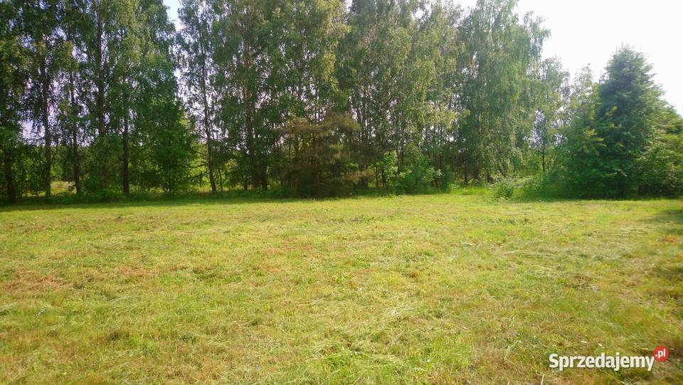 Działka 4828m2 Wkrą pozw na budowę ogrodzenie utwardzona mazowieckie Popielżyn-Zawady