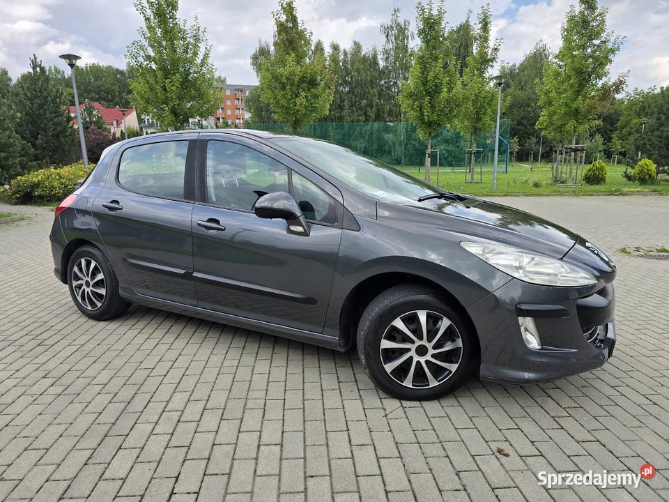 Peugeot 308 14 Benzyna GAZ LPG klima ładny BEZ 1400cm3 Rzeszów