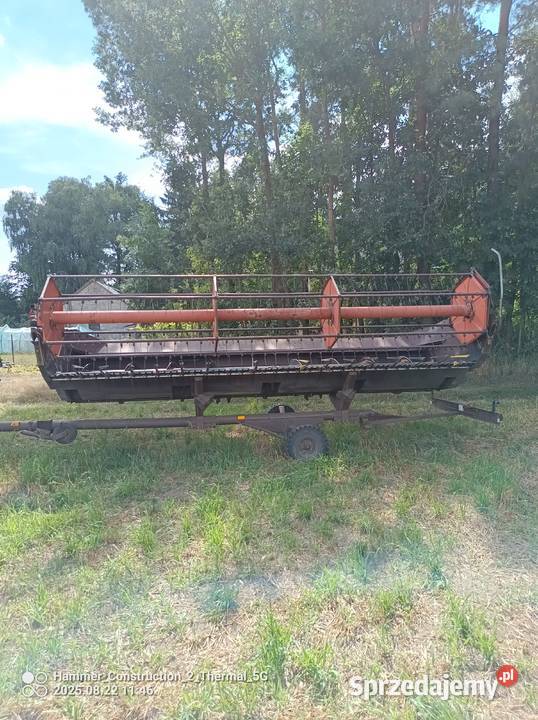 Kombajn zbożowy Massey Ferguson Ryki