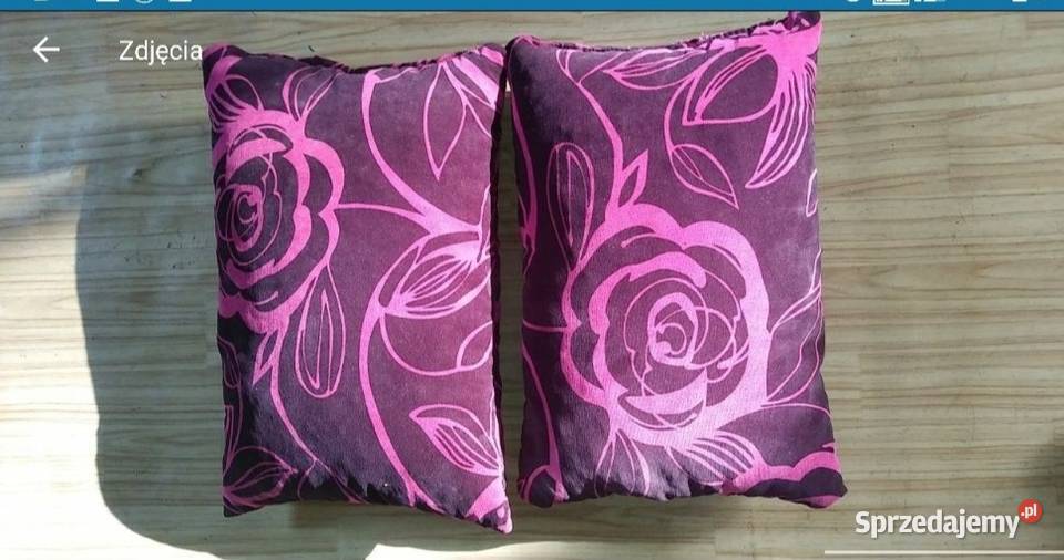 Poduszki jasie Pakość