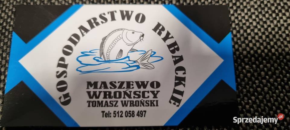 KARP HANDLOWY ŚWIĄTECZNY MASZEWO