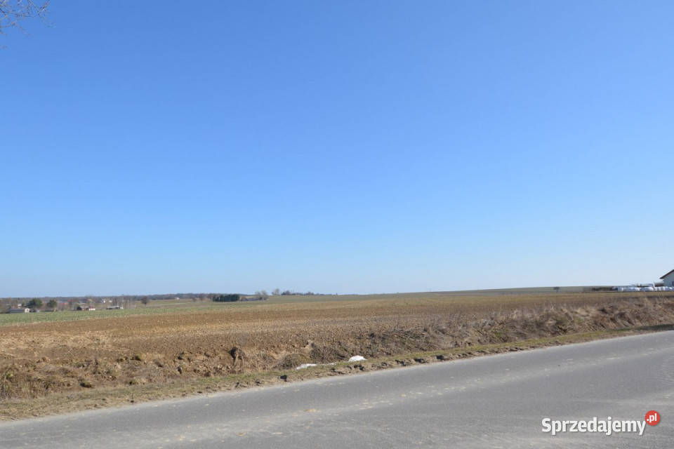 Grunt 1280m2 Skrzynice Pierwsze sprzedam