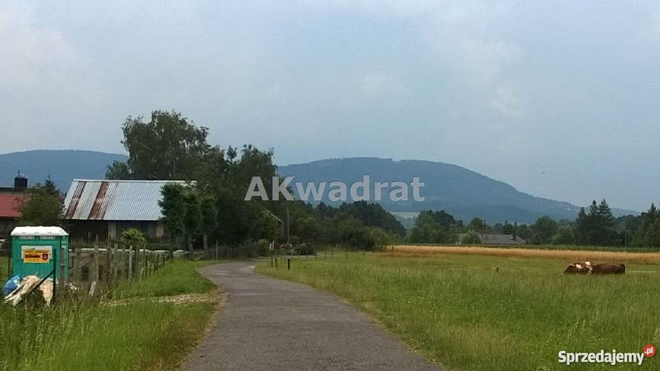 grunt 1004m2 Bładnice Górne śląskie Bładnice Górne