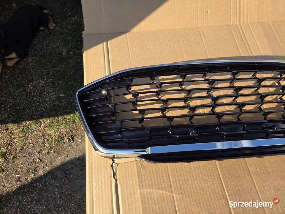 Grill Atrapa chłodnicy Ford Puma 2456978 osobowe