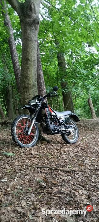 Honda MTX 80 na kat AM szczecin