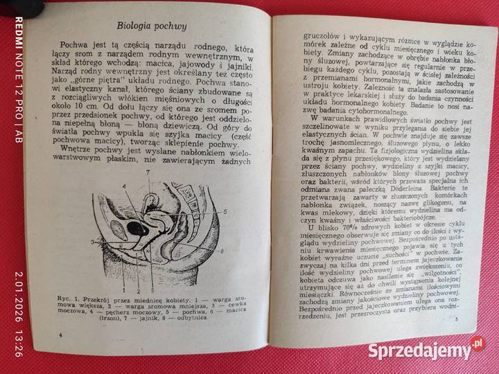 Najczęstsze dolegliwości kobiece dr St Radowicki Katowice sprzedam
