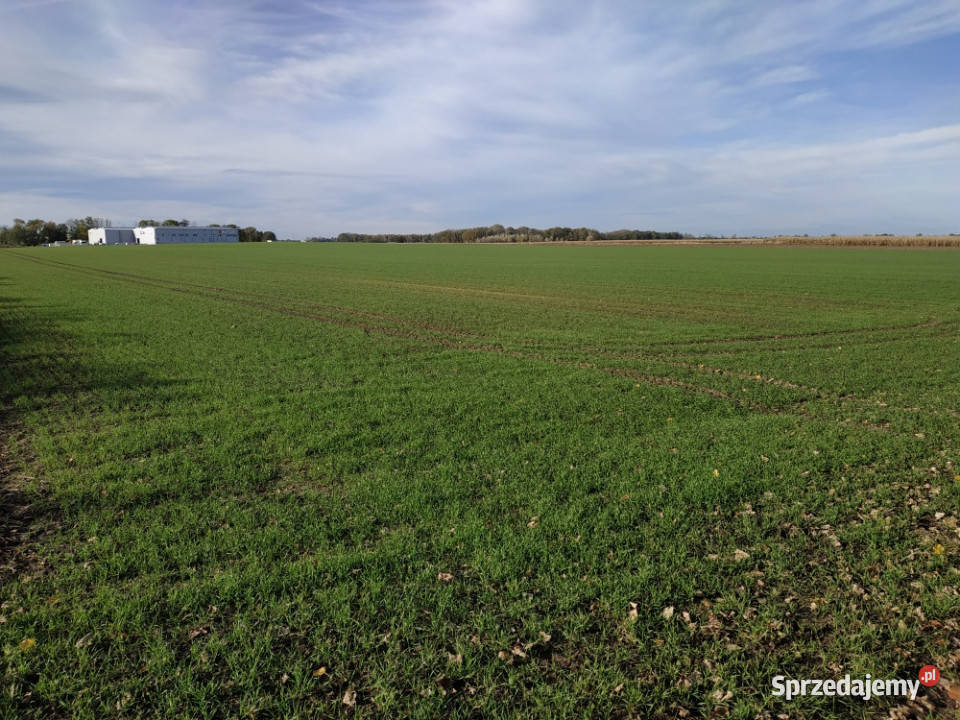 Na sprzedaż sprzedaż nieruchomości gruntowych dolnośląskie