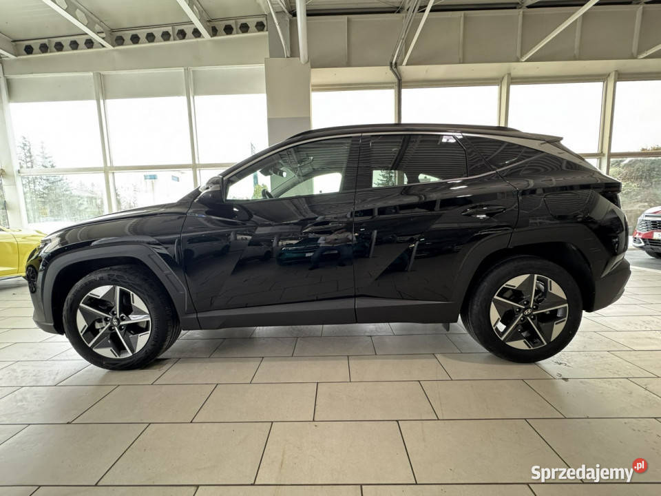 Hyundai Tucson Executive 16 TGDI 7DCT 150 Giżycko