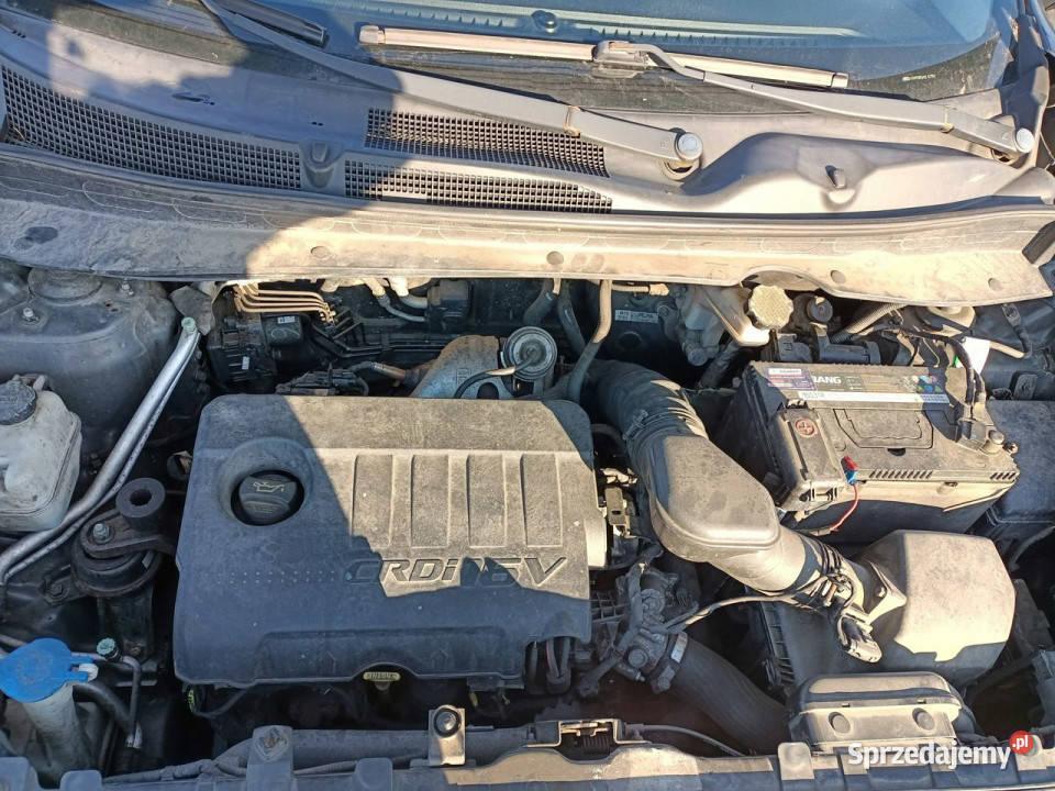 Kia Sportage Kia Sportage 17CRDI 115 12r III Tarnów