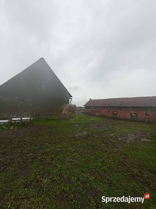Sprzedam siedlisko z budynkami warmińsko-mazurskie Węgój