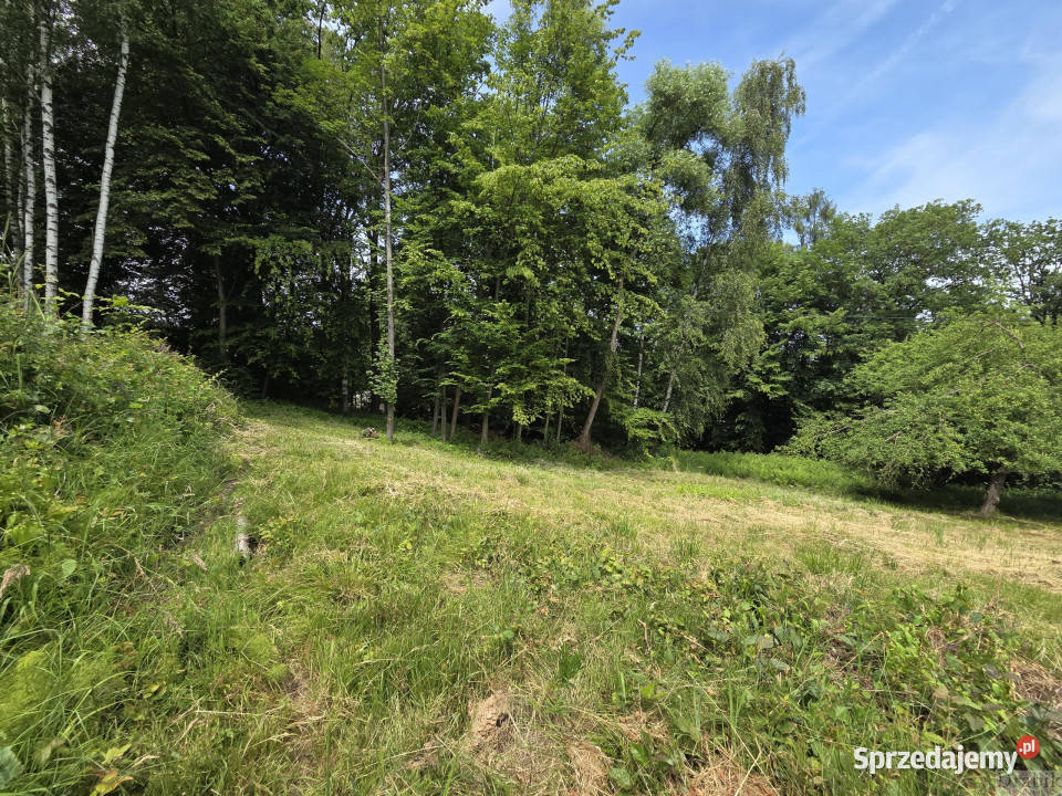 sprzedaży gruntu Skawce Skawce 1720m2