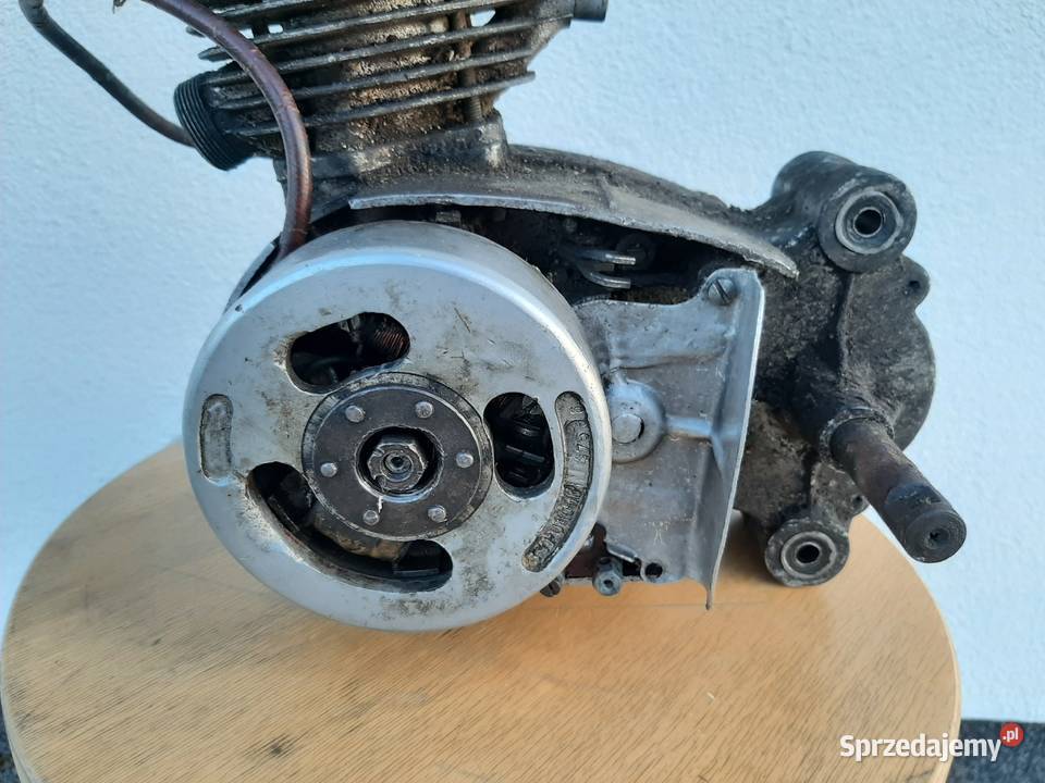 Silnik Ryś Żak wielkopolskie Leszno