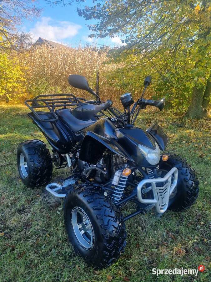 Quad EGL lyda 250cc 41R Ciecz Duża Rama bagażnik Pozostałe Kruszwica