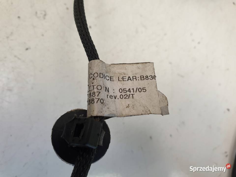 Ford Focus II MK2 NAPINACZ PASA Prawy przód Chełm