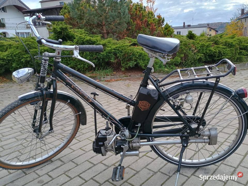 Bicicletta Pizeta Scoiattolo rower z silnikiem Kurzętnik