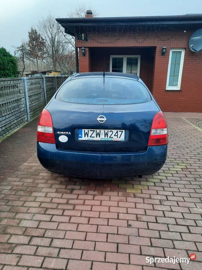 Nissan Primera p12 Primera Osiny