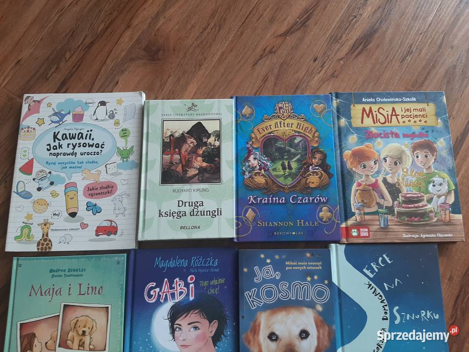 11 książeczek dzieci stan Książki dla dzieci świętokrzyskie Sandomierz sprzedam