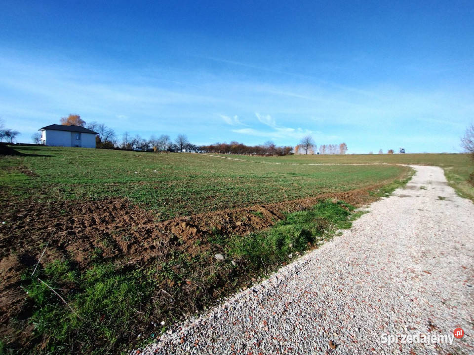 Sprzedaż działki 1667m2 Marysin