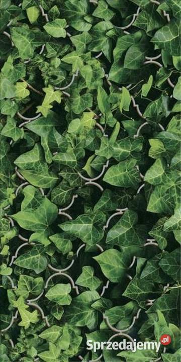 Inserto dekor szklany Dream zielony 30x60 Opoczno