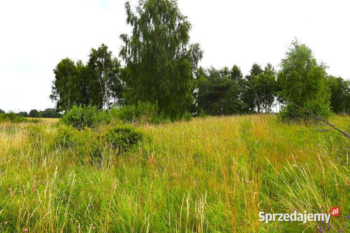 Grunt do sprzedania Stara Kiszewa 1129m2