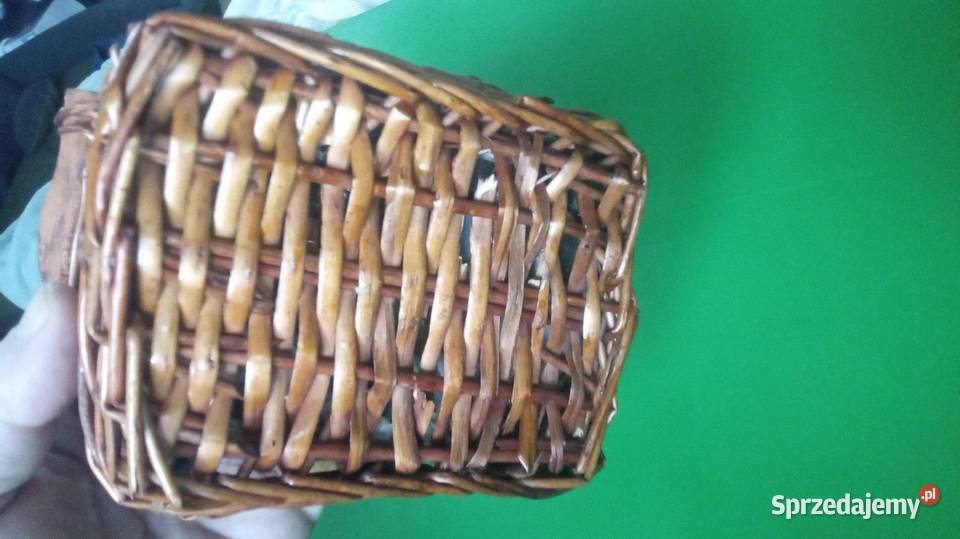 Kiciuś w koszyku Warszawa