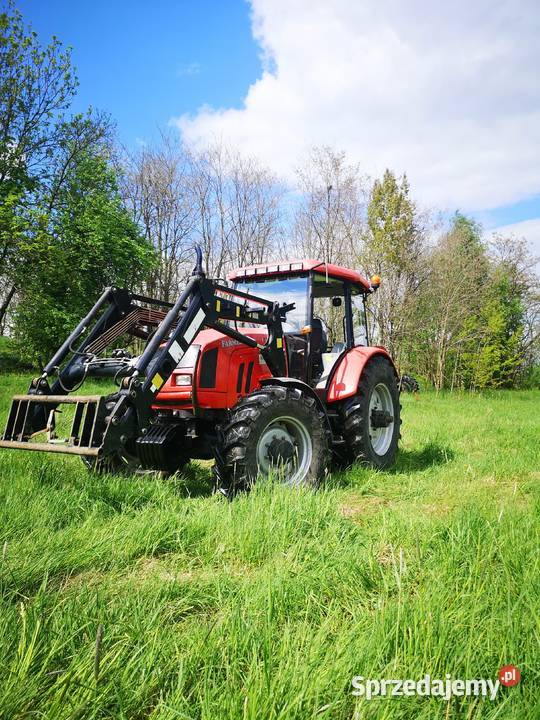 Farmer 10244 C1 2008r Poddębice