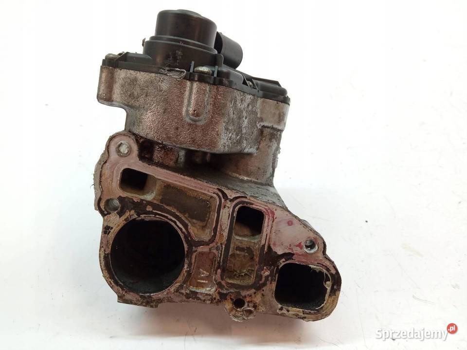 ZAWÓR EGR 24404025 5WK9186 22 16V Opel Vectra