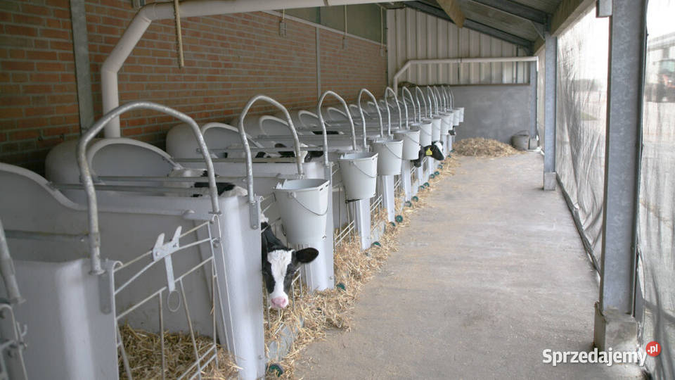 Domek cieląt pojedynczy CalfOTel Open Top Opole